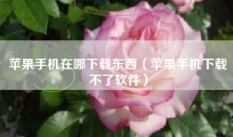 苹果手机在哪下载东西（苹果手机下载不了软件）