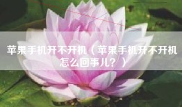 苹果手机开不开机（苹果手机开不开机怎么回事儿？）