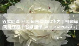 谷歌翻译  v8.22.46.698958551.3华为手机翻译功能在哪「谷歌翻译  v8.22.46.698958551.3」