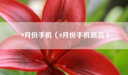 9月份手机（9月份手机新品）