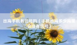 出海手机有信号吗（手机出海多少海里会没有信号）