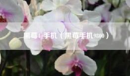 黑莓4g手机（黑莓手机9800）