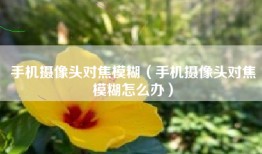 手机摄像头对焦模糊（手机摄像头对焦模糊怎么办）