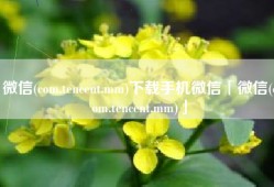 微信(com.tencent.mm)下载手机微信「微信(com.tencent.mm)」