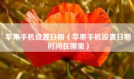 苹果手机设置日期（苹果手机设置日期时间在哪里）