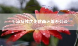 平凉持续优化营商环境系列谈