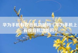 华为手机有收音机功能吗（华为手机上有收音机功能吗）