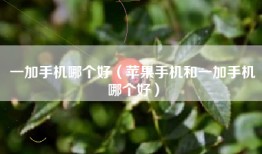 一加手机哪个好（苹果手机和一加手机哪个好）