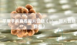 苹果手机查看图片信息（iphone图片信息查看）