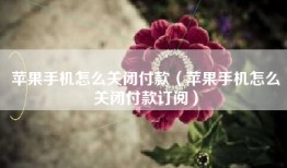 苹果手机怎么关闭付款（苹果手机怎么关闭付款订阅）
