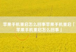 苹果手机重启怎么回事苹果手机重启「苹果手机重启怎么回事」