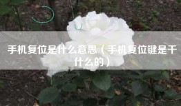 手机复位是什么意思（手机复位键是干什么的）