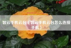 智云手机云台（智云手机云台怎么连接手机）