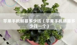 苹果手机屏幕多少钱（苹果手机屏幕多少钱一个）