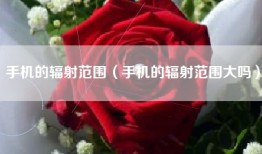 手机的辐射范围（手机的辐射范围大吗）