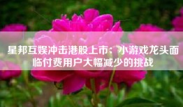 星邦互娱冲击港股上市：小游戏龙头面临付费用户大幅减少的挑战