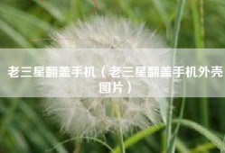 老三星翻盖手机（老三星翻盖手机外壳图片）