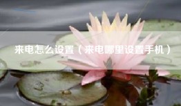 来电怎么设置（来电哪里设置手机）