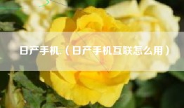 日产手机.（日产手机互联怎么用）