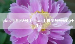 iphone手机型号（iPhone手机型号号码M开头）