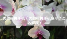 美颜相机手机（美颜相机手机变形了怎么修复）