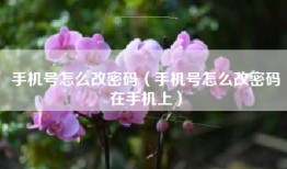手机号怎么改密码（手机号怎么改密码在手机上）