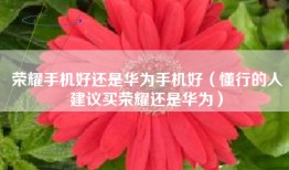 荣耀手机好还是华为手机好（懂行的人建议买荣耀还是华为）