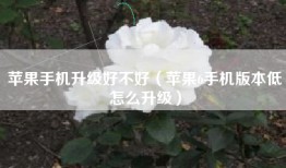 苹果手机升级好不好（苹果6手机版本低怎么升级）