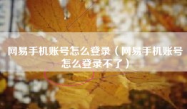 网易手机账号怎么登录（网易手机账号怎么登录不了）