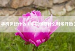 手机保修什么（手机保修什么时候开始）