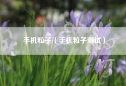手机粒子（手机粒子测试）