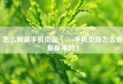 怎么刷新手机页面（vivo手机页面怎么恢复原来的）