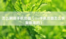怎么刷新手机页面（vivo手机页面怎么恢复原来的）