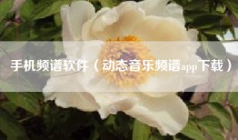 手机频谱软件（动态音乐频谱app下载）
