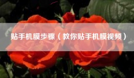 贴手机膜步骤（教你贴手机膜视频）