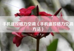 手机遥控格力空调（手机遥控格力空调方法）