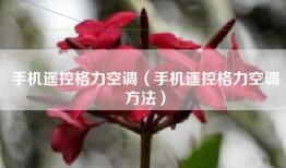 手机遥控格力空调（手机遥控格力空调方法）