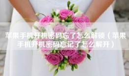 苹果手机开机密码忘了怎么解锁（苹果手机开机密码忘记了怎么解开）