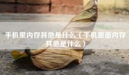 手机里内存其他是什么（手机里面内存其他是什么）