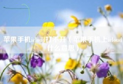 苹果手机icloud打不开（苹果手机上icloud什么意思）