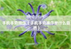 手机手势操作（手机手势操作是什么意思）