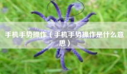 手机手势操作（手机手势操作是什么意思）