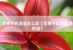苹果手机英语怎么说（苹果手机用英语咋说）