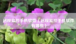 远程监控手机软件（远程监控手机软件有哪些）