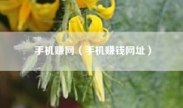 手机赚网（手机赚钱网址）