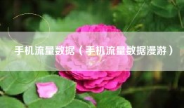 手机流量数据（手机流量数据漫游）