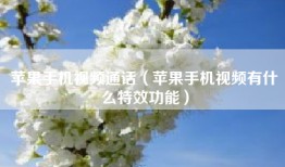 苹果手机视频通话（苹果手机视频有什么特效功能）