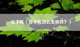 没手机（没手机怎么坐地铁？）