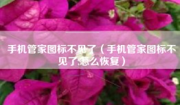 手机管家图标不见了（手机管家图标不见了,怎么恢复）