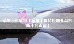 苹果手机转接（苹果手机转接圆孔耳机听不到声音）